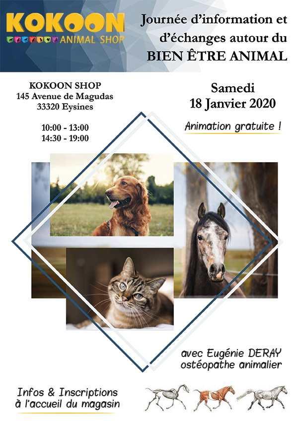 Eysines : ostéopathie animale le 18/01
