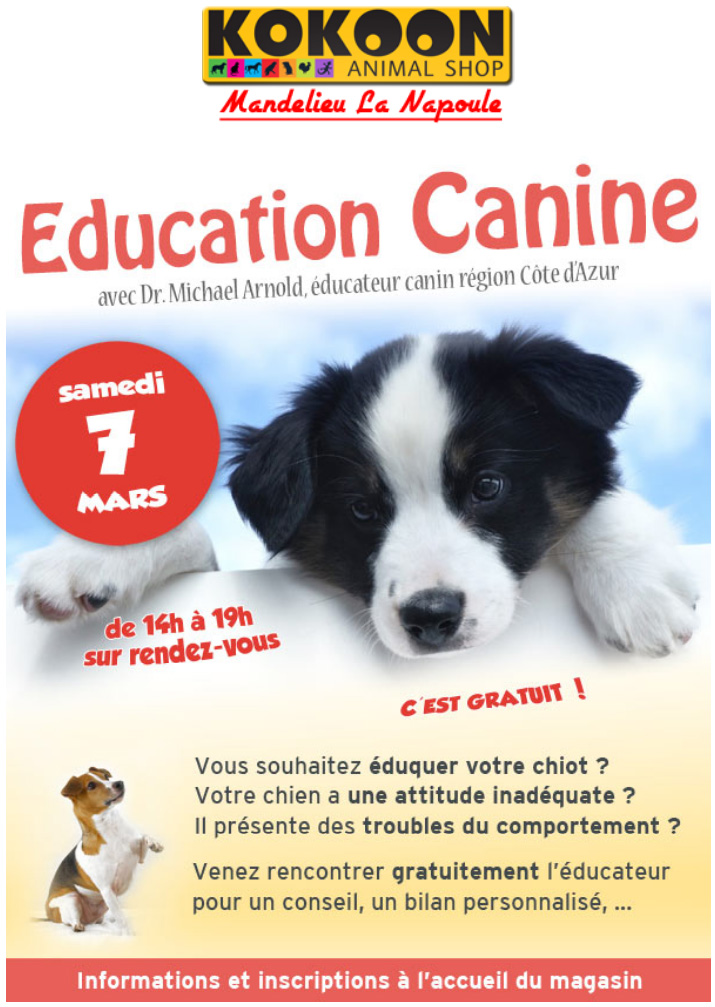 Mandelieu : éducation canine le 7 mars