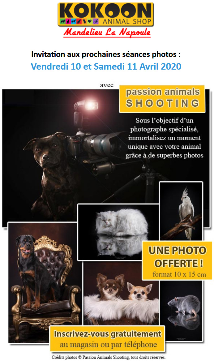 Animation annulée