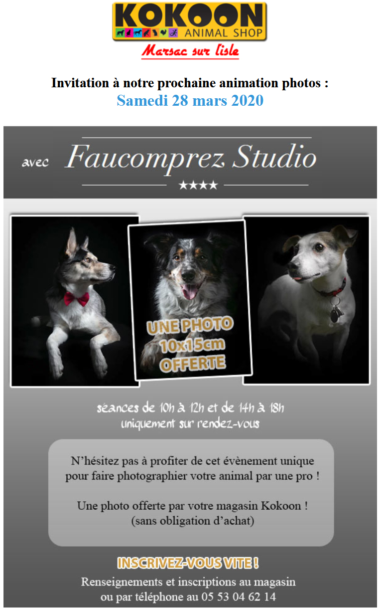 ANIMATION ANNULEE