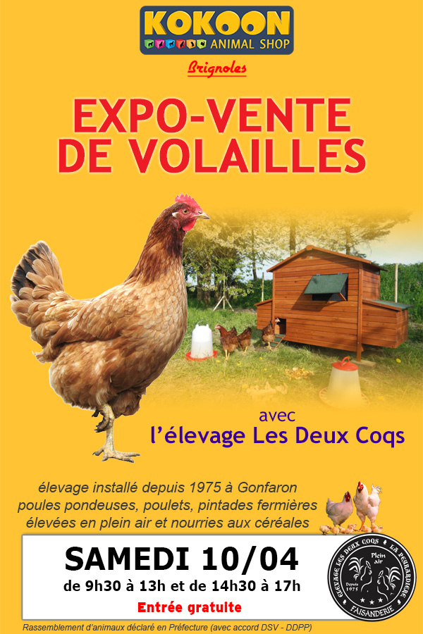 Kokoon Brignoles