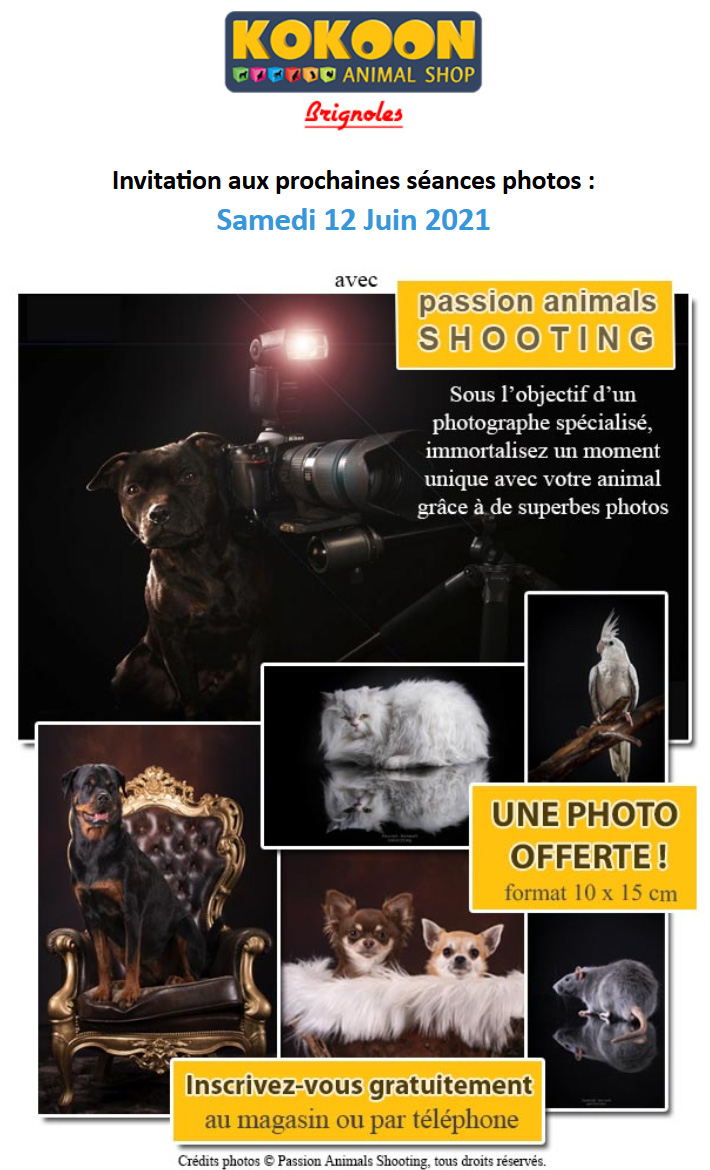 Prochaine animation photos à Brignoles