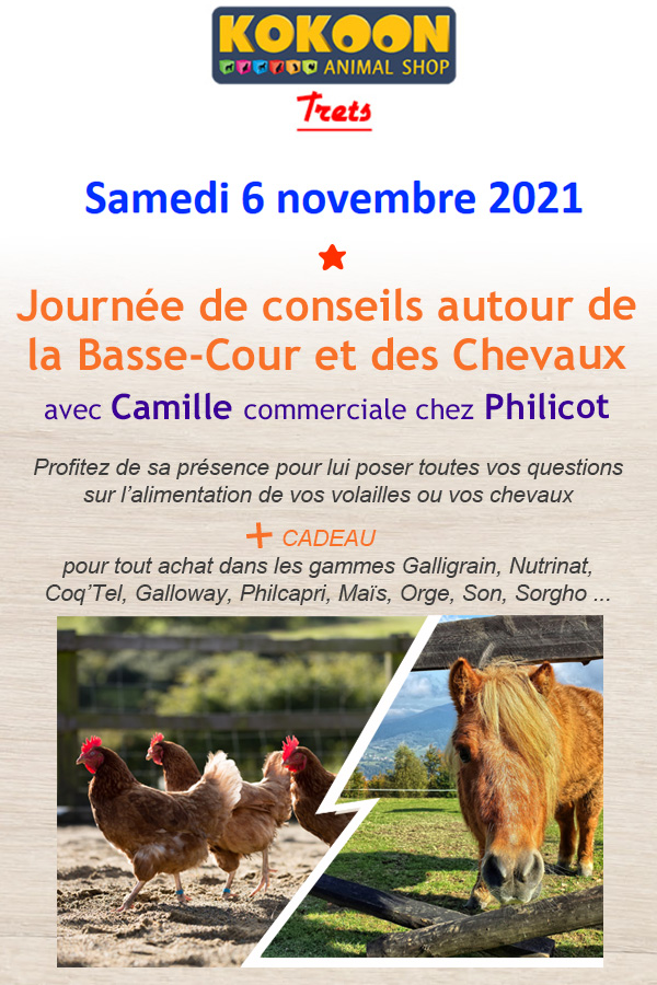 Samedi 6/11 à Trets