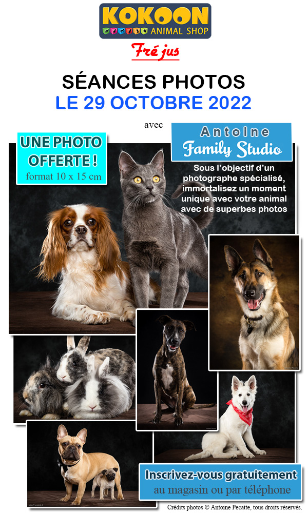 Fréjus le 29/10