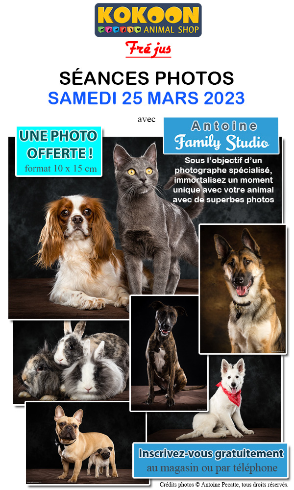 Fréjus le 25/03