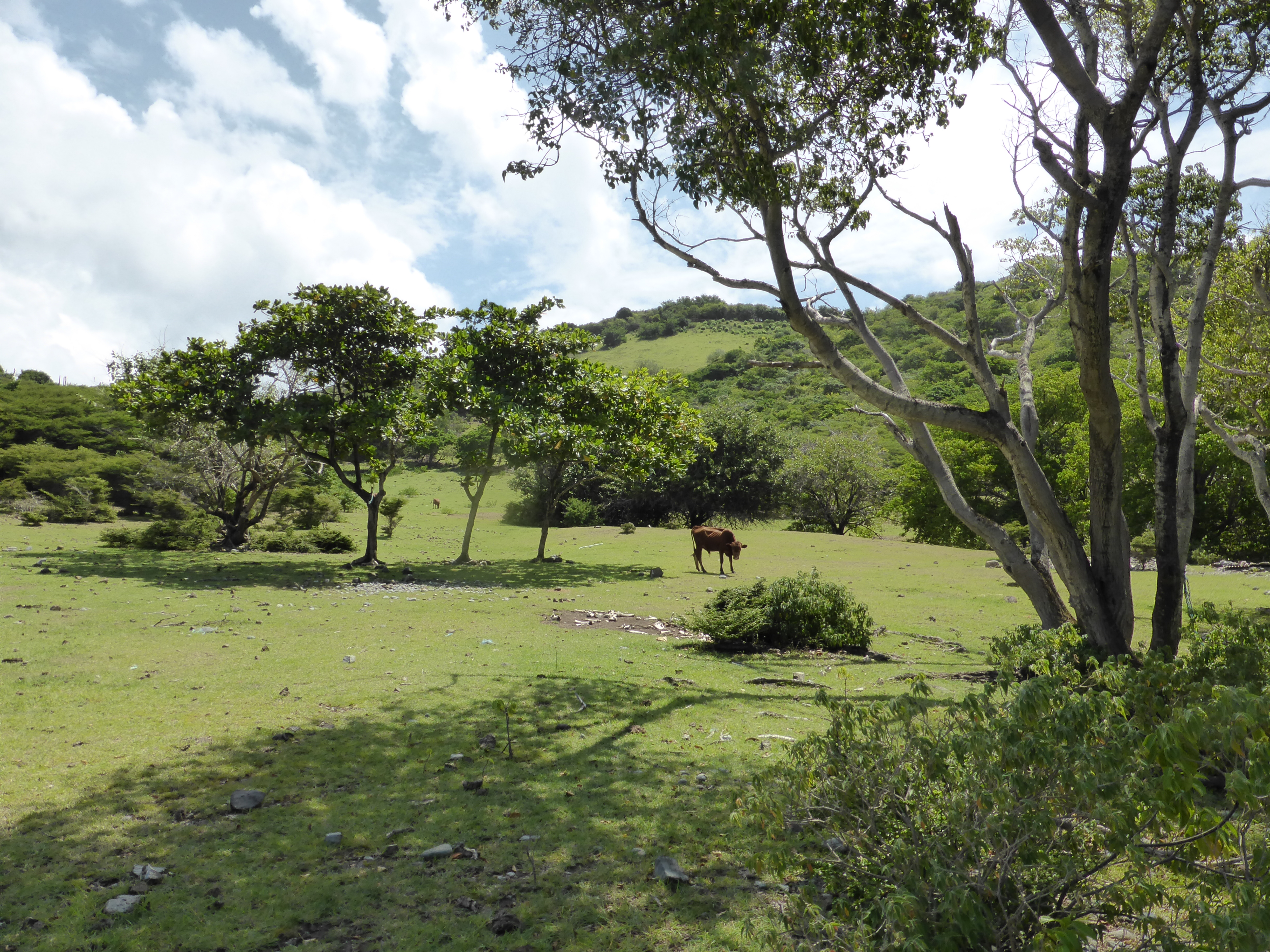  Amoureux de solitude, découvrez Baliceaux, une île secrète des Grenadines