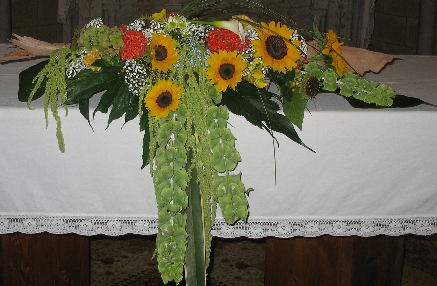 IMG 4528