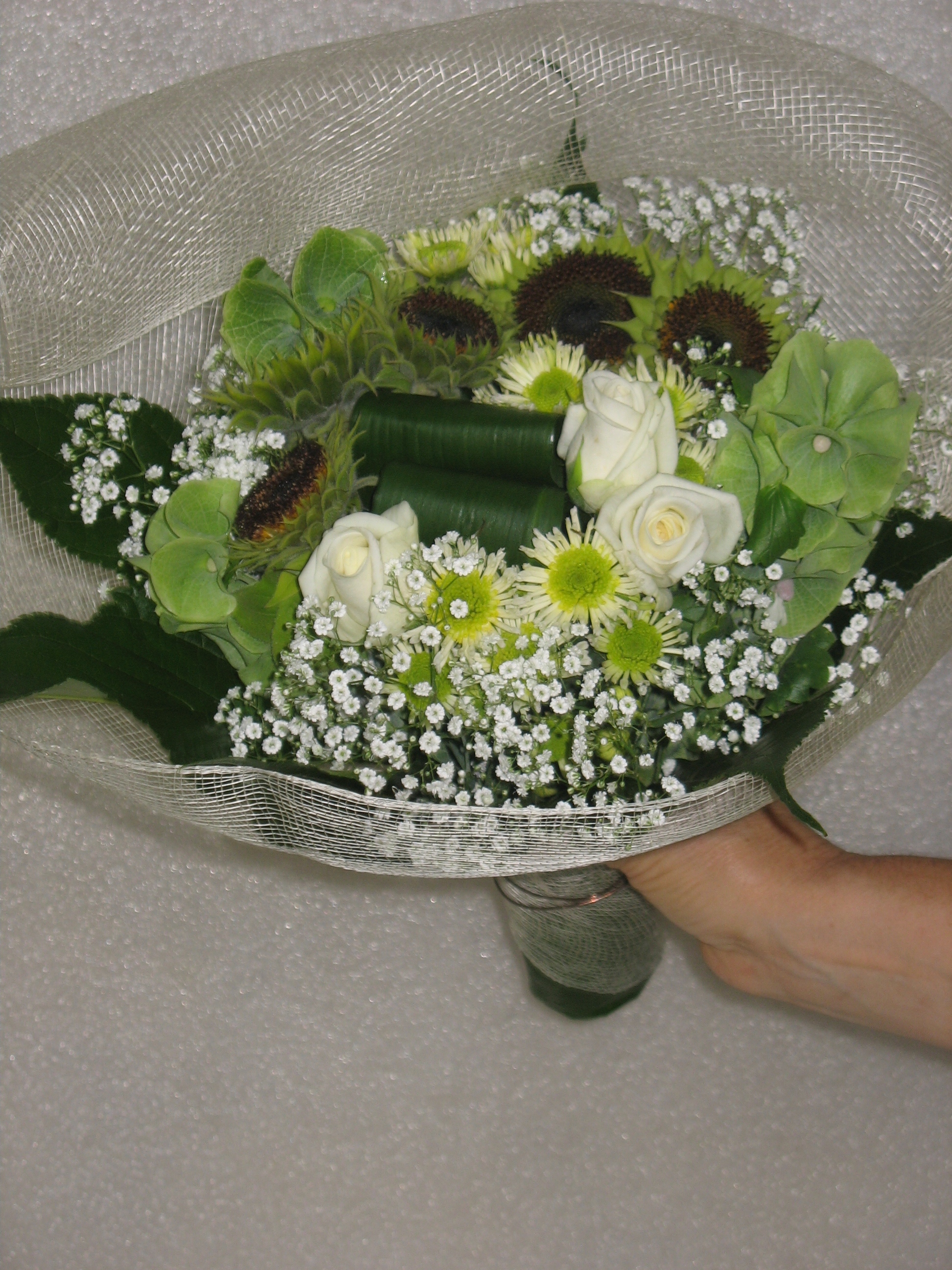 IMG 4522
