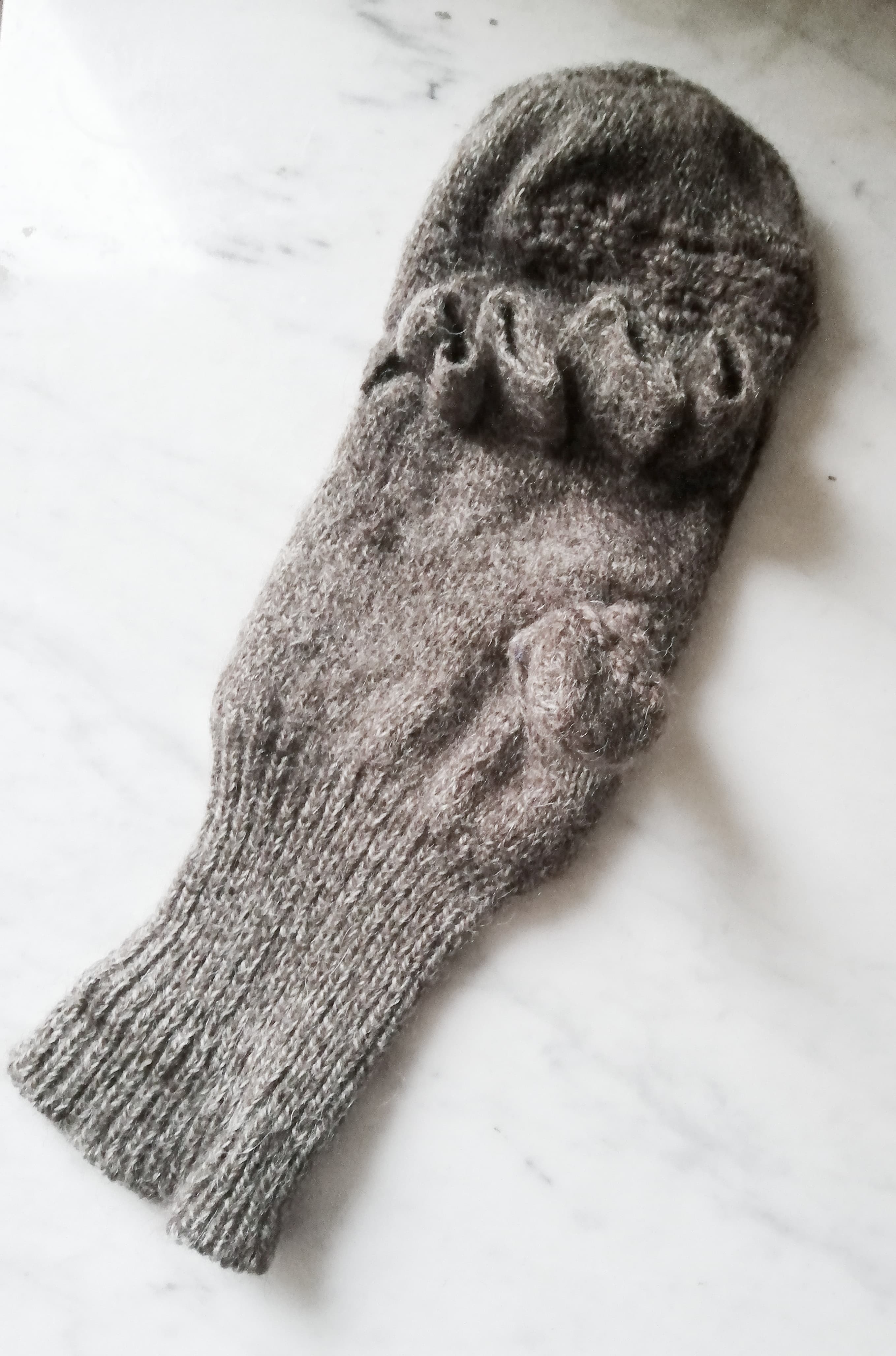 Un moufle sauvee par des soins attentionnes
