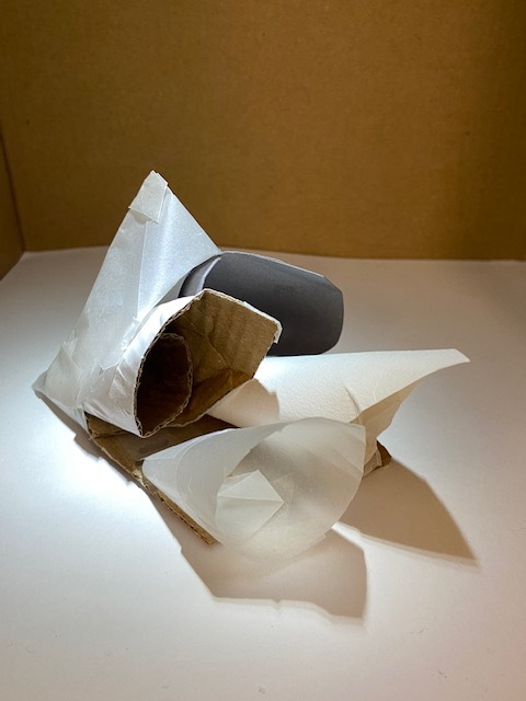 Koita