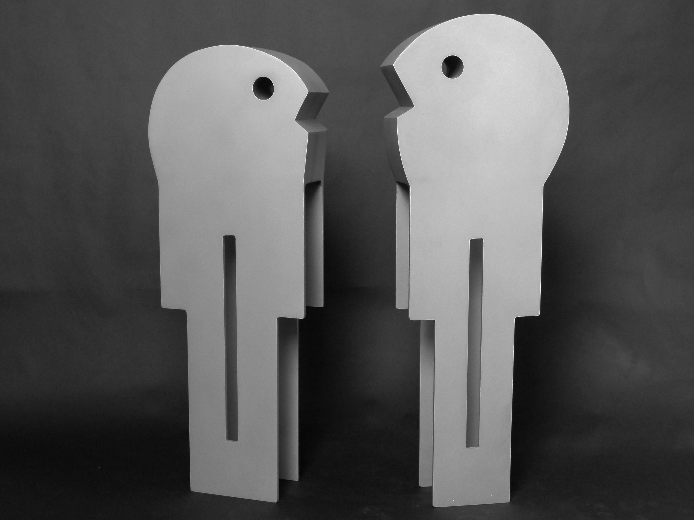L1080306 face a face inox 67x32x10 