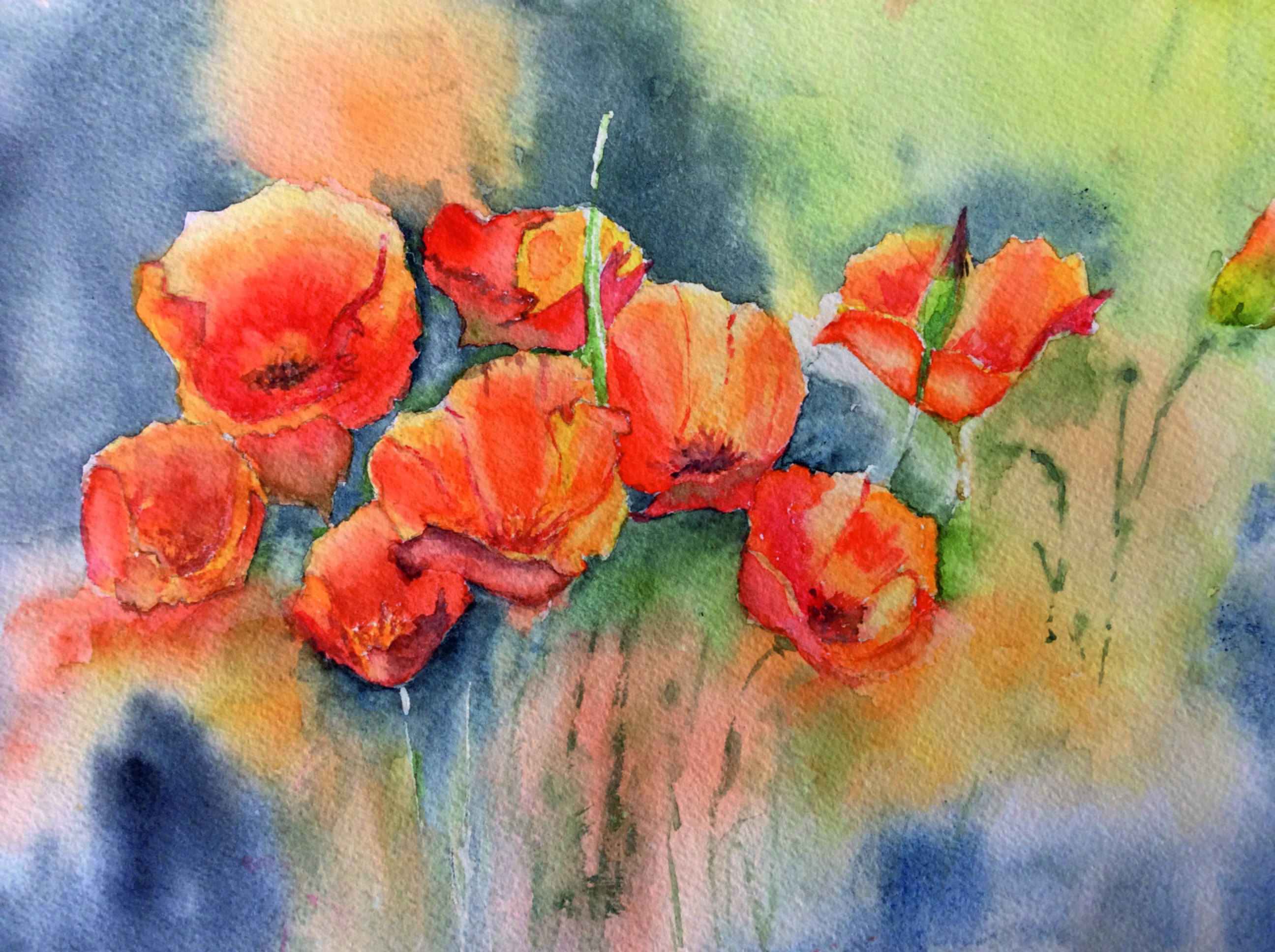 Aquarelle vero