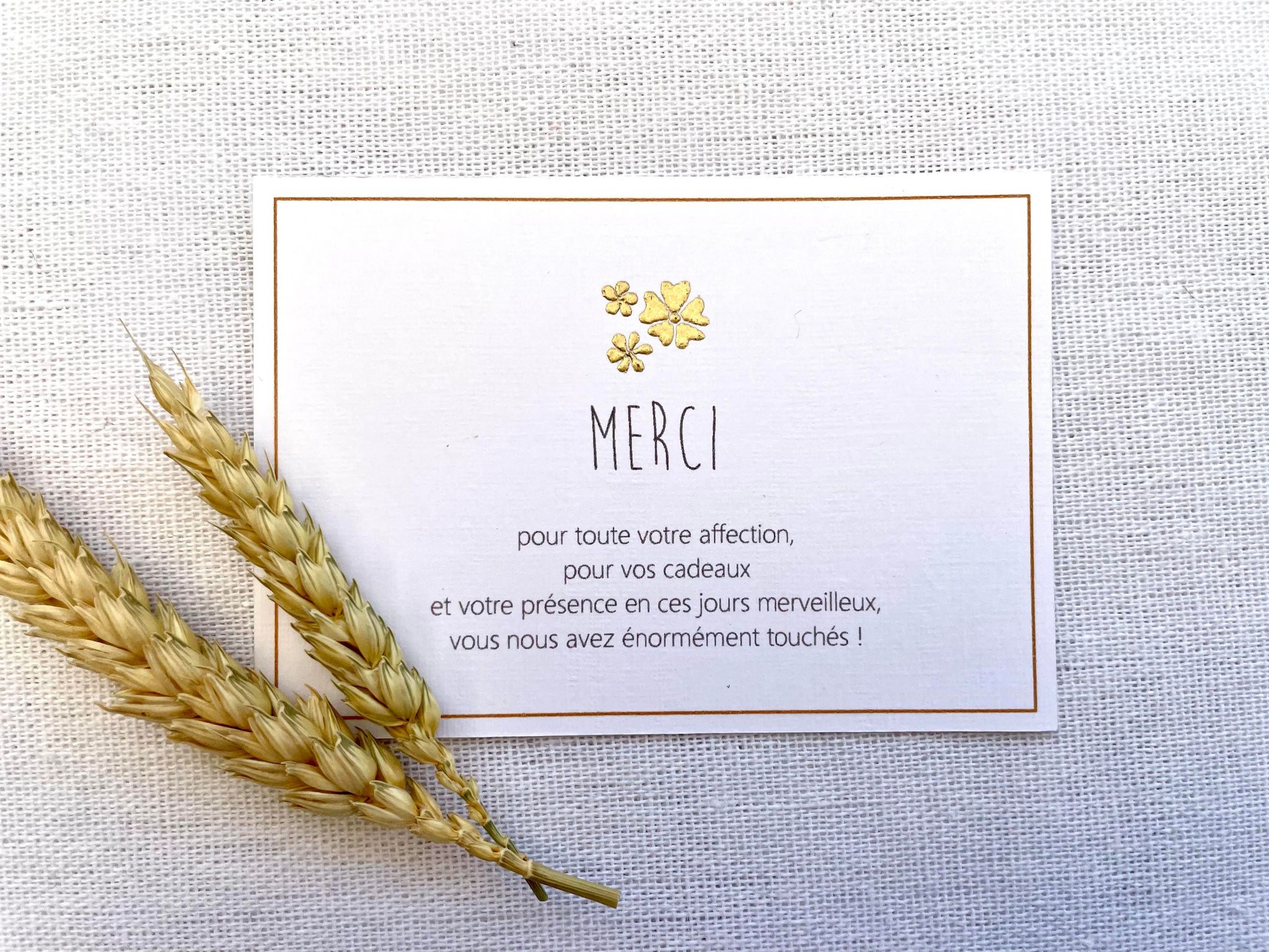Remerciements