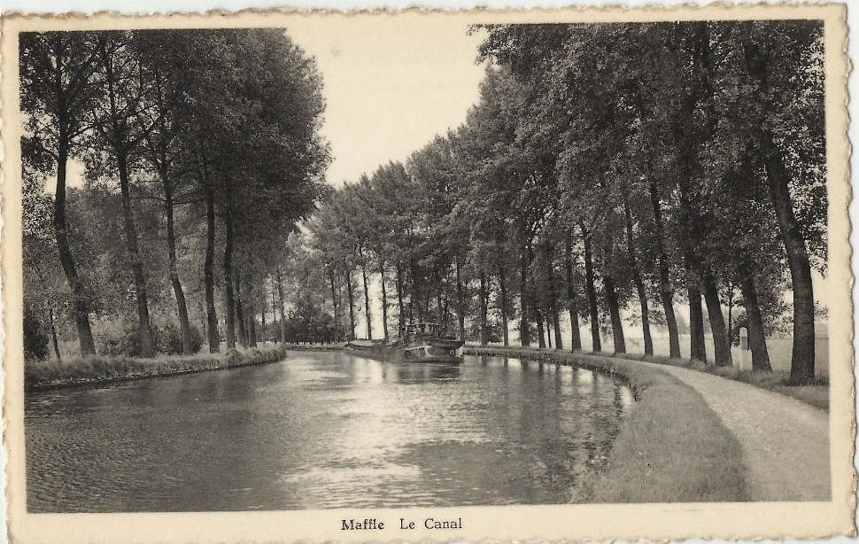 Bief aux herbes