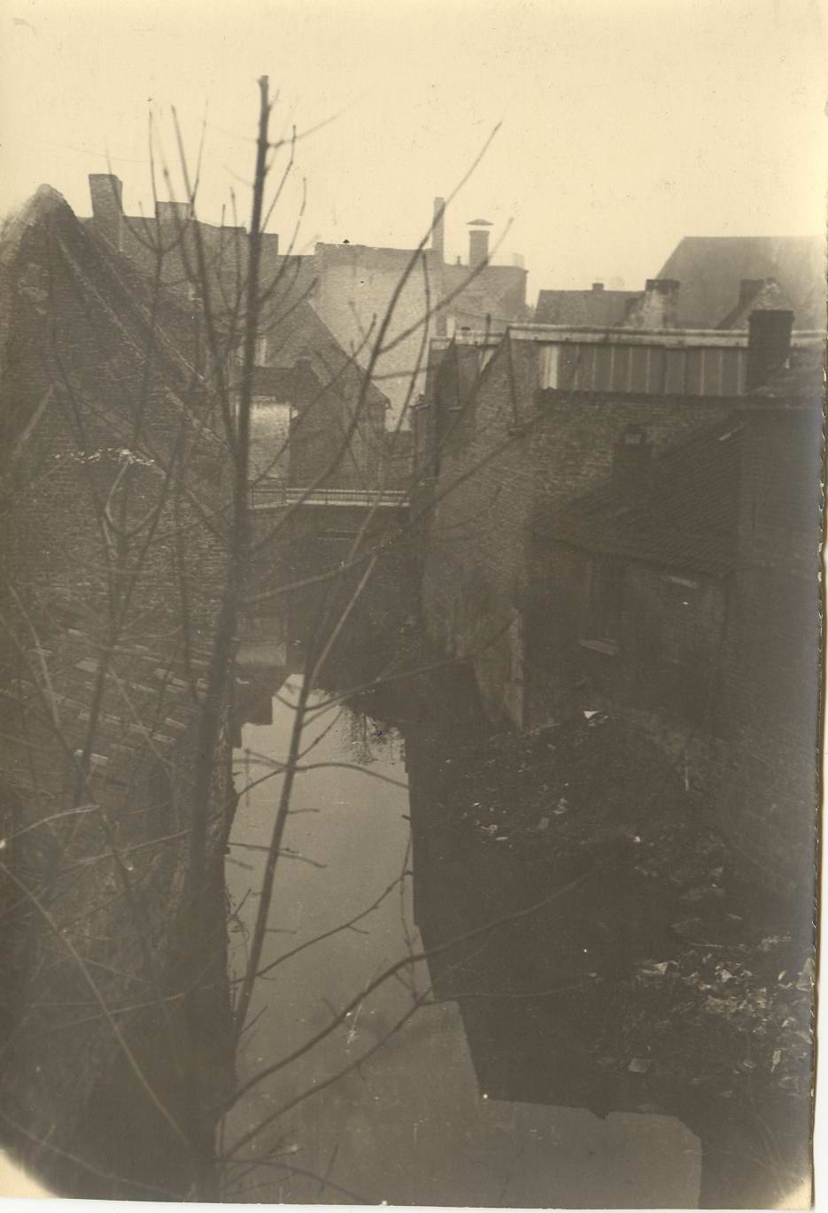 Phath dendre1933 6