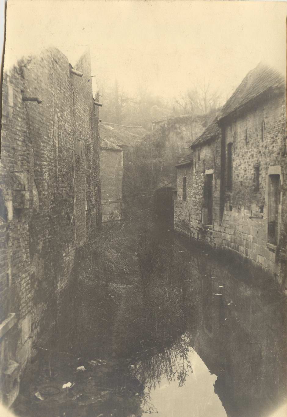 Phath dendre1933 7