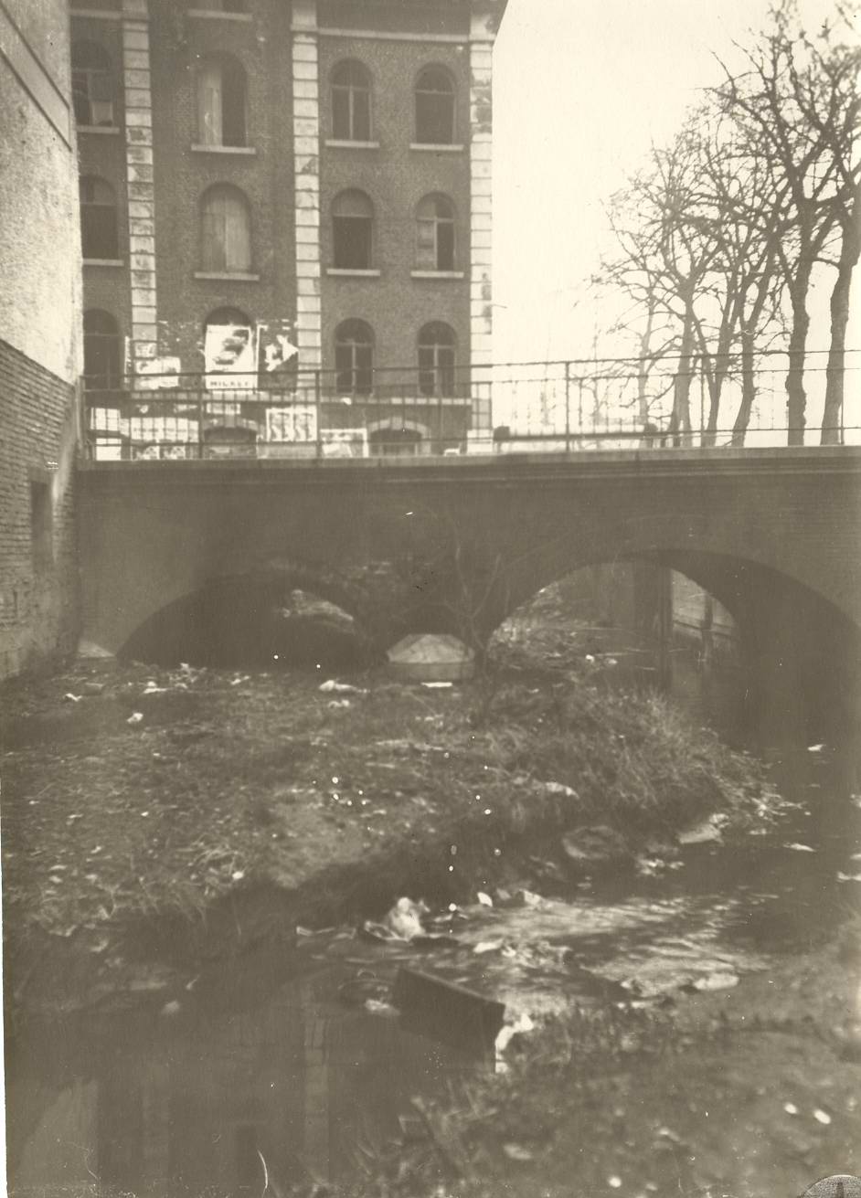 Phath dendre1933 11