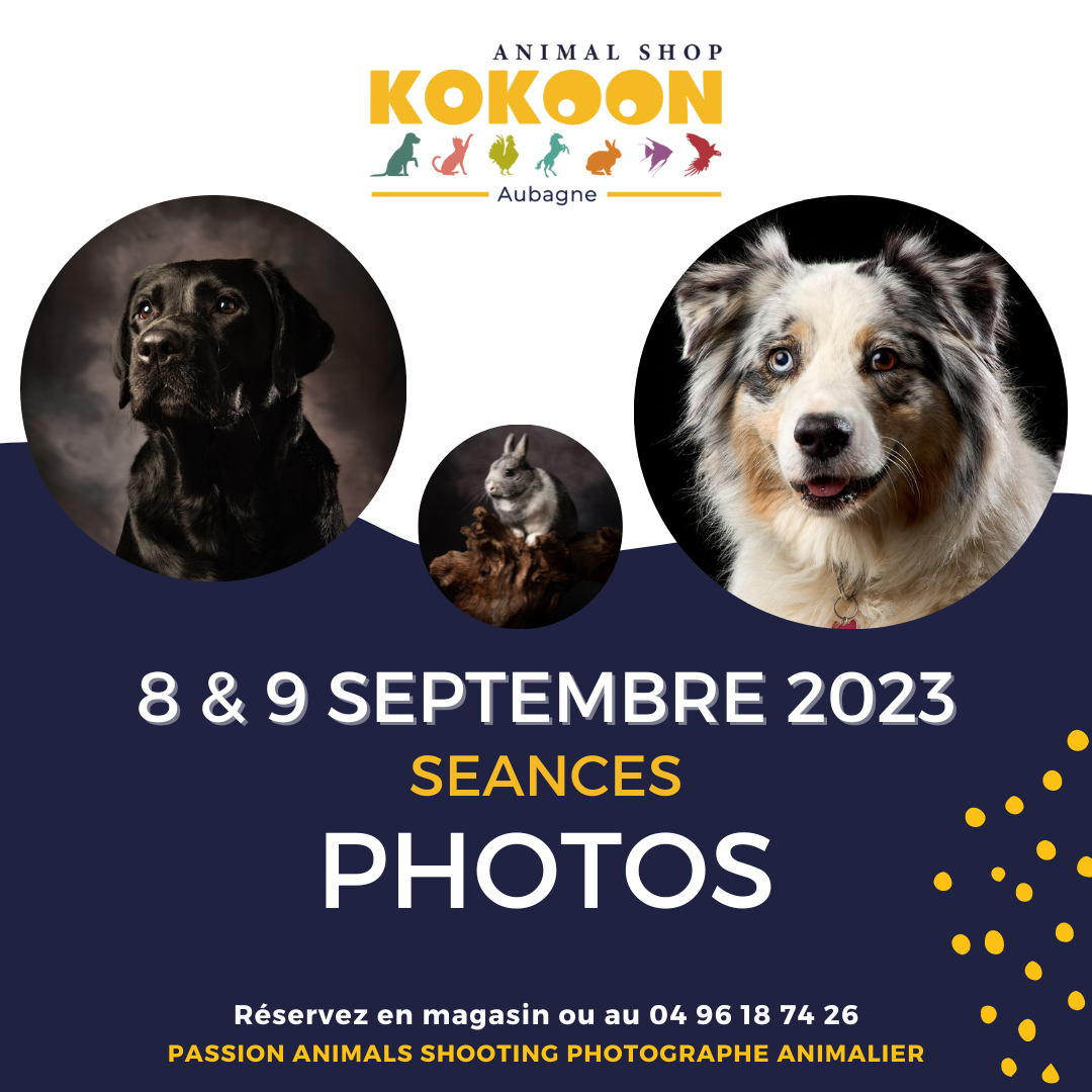Aubagne le 8 & 9 septembre