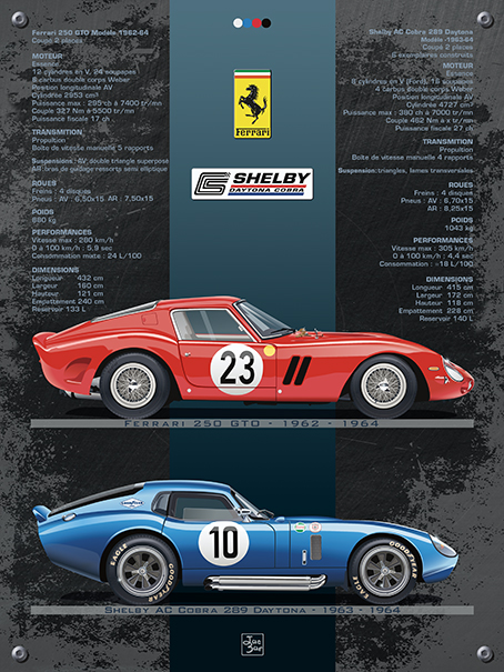 Ferrari-250-shelby-289-30x40-w