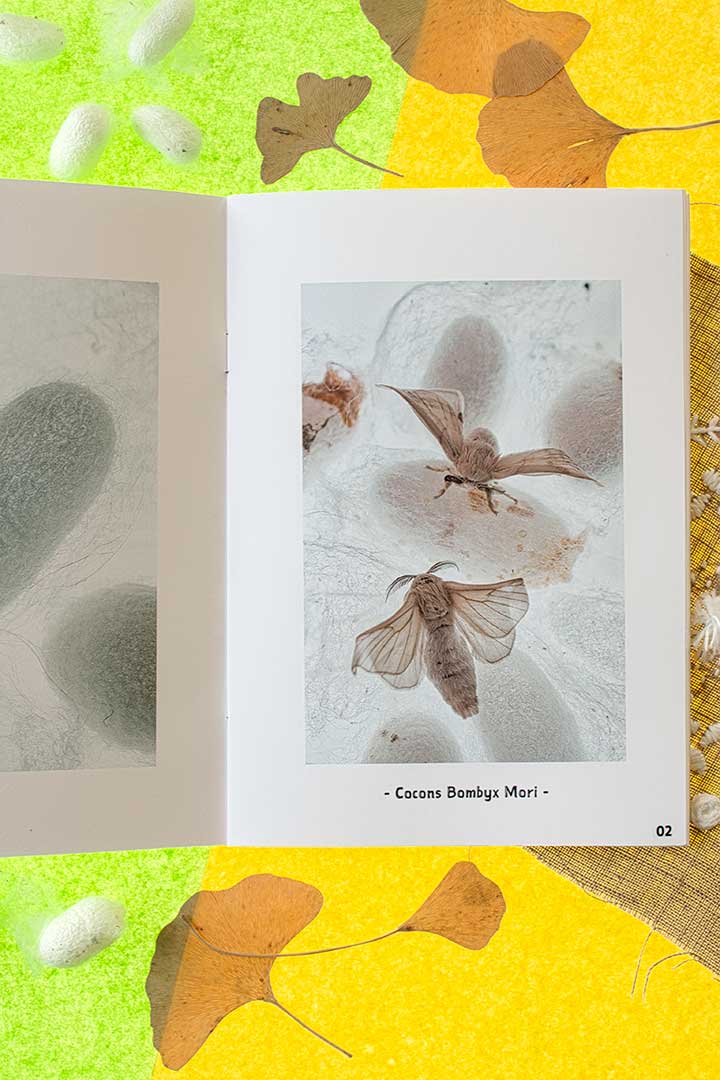 Zine01 02