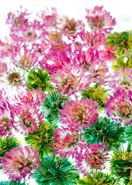 Carte fleur trefle 1