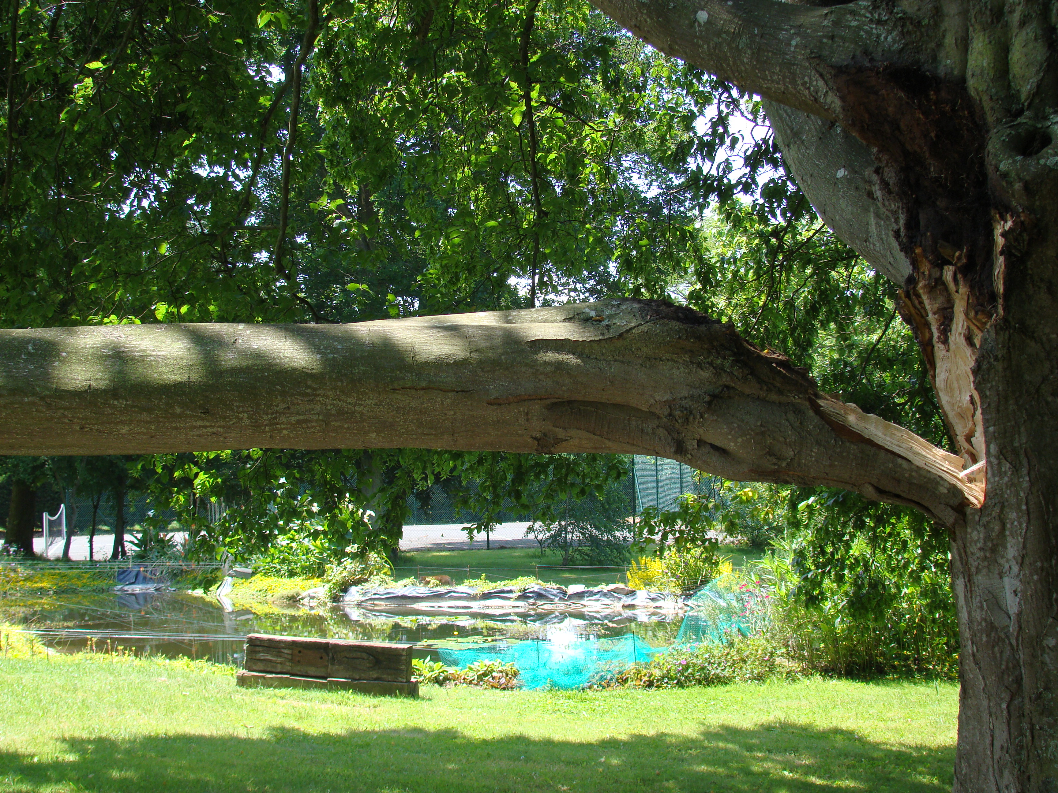 Ete 2009 087