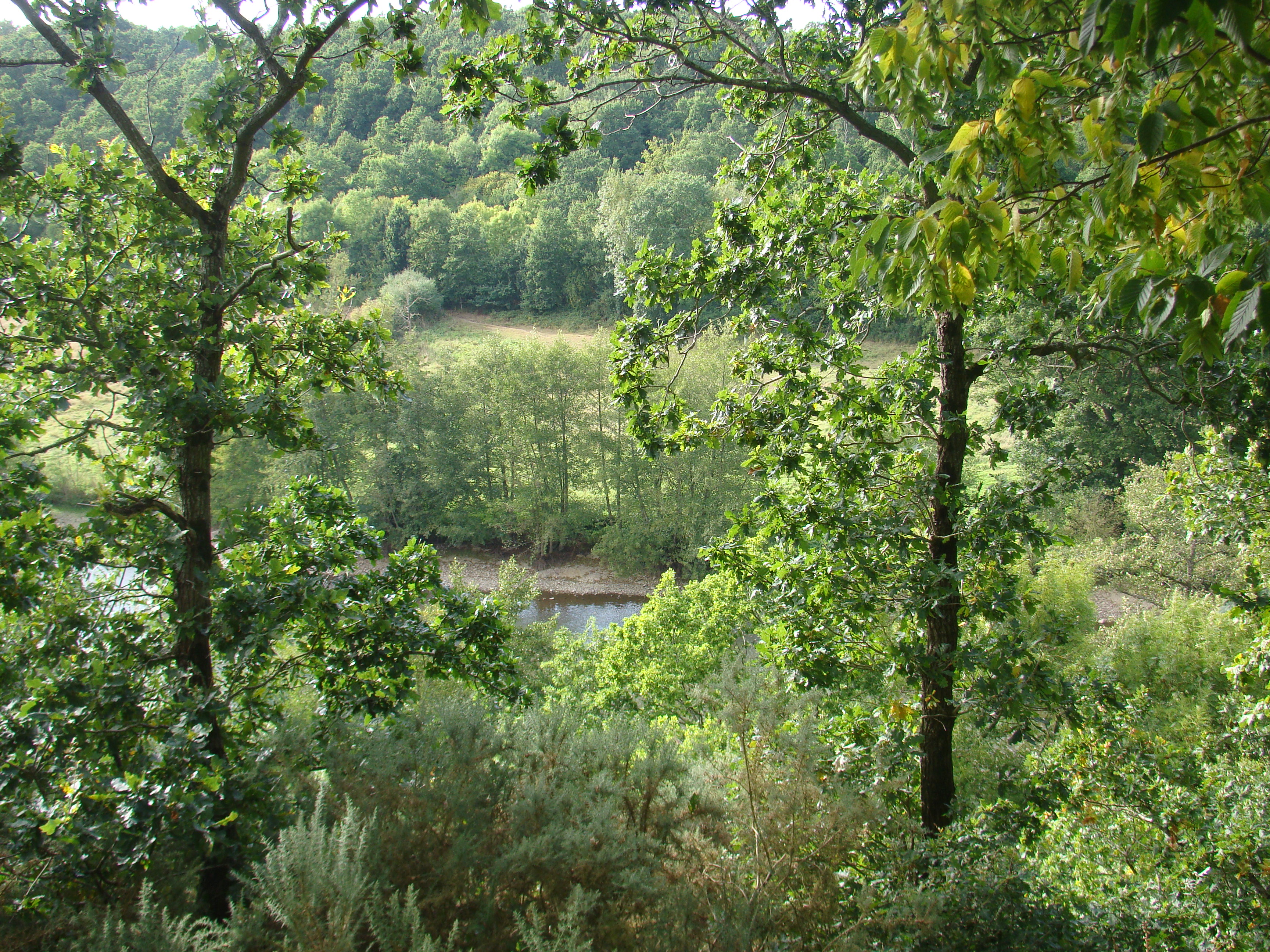 Ete 2009 460