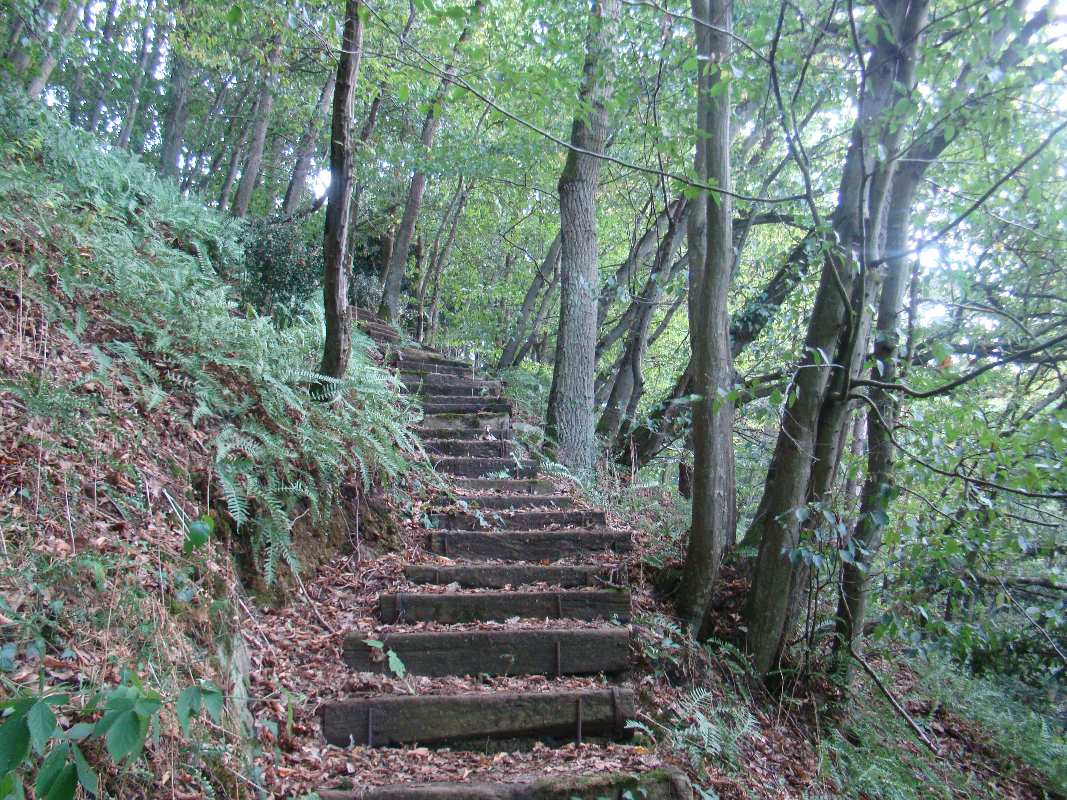 Ete 2009 464