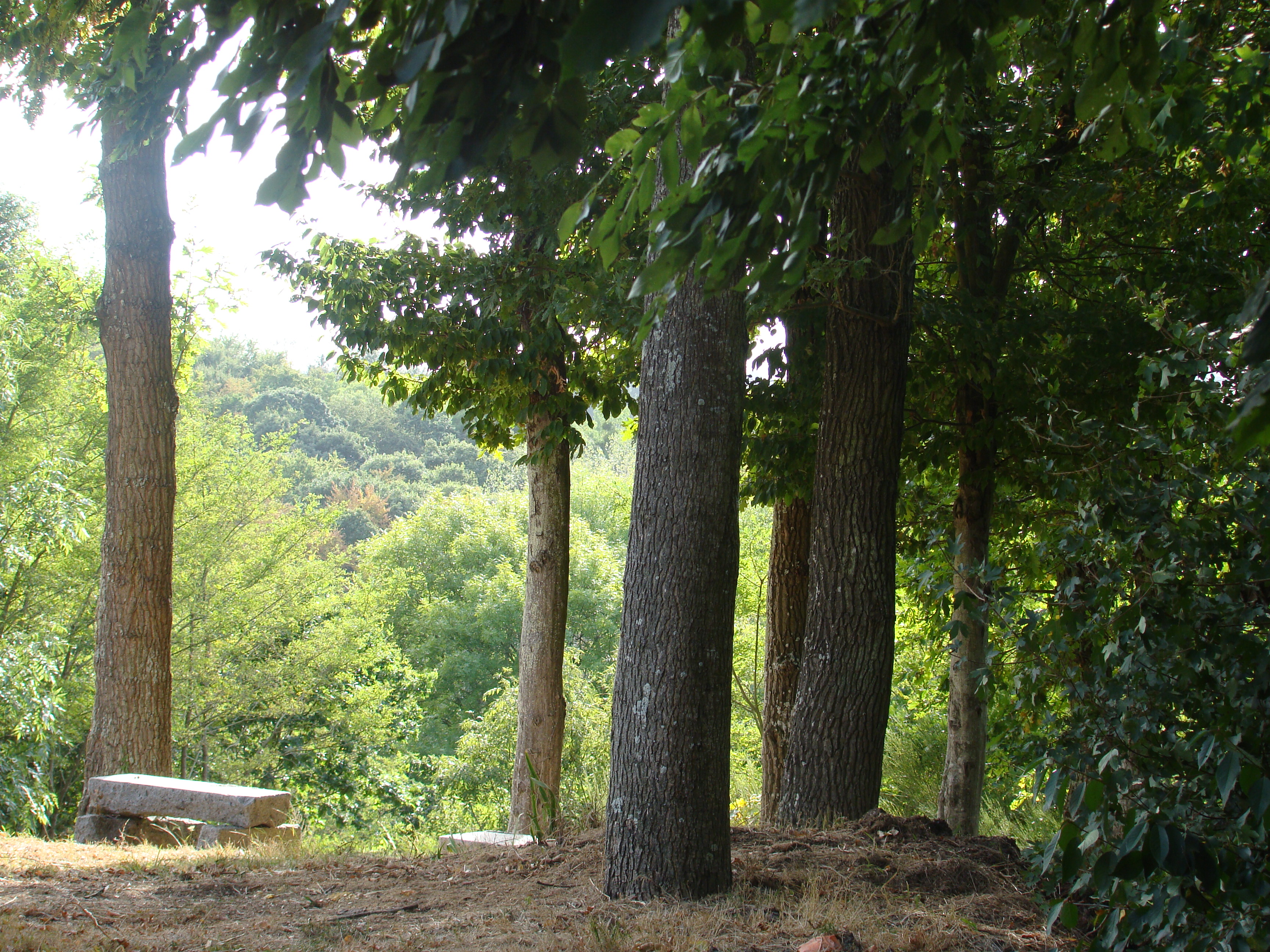 Ete 2009 467