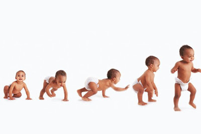 Etapas del desarrollo infantil 1 