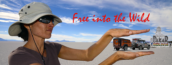 Free into the wild 2019 web