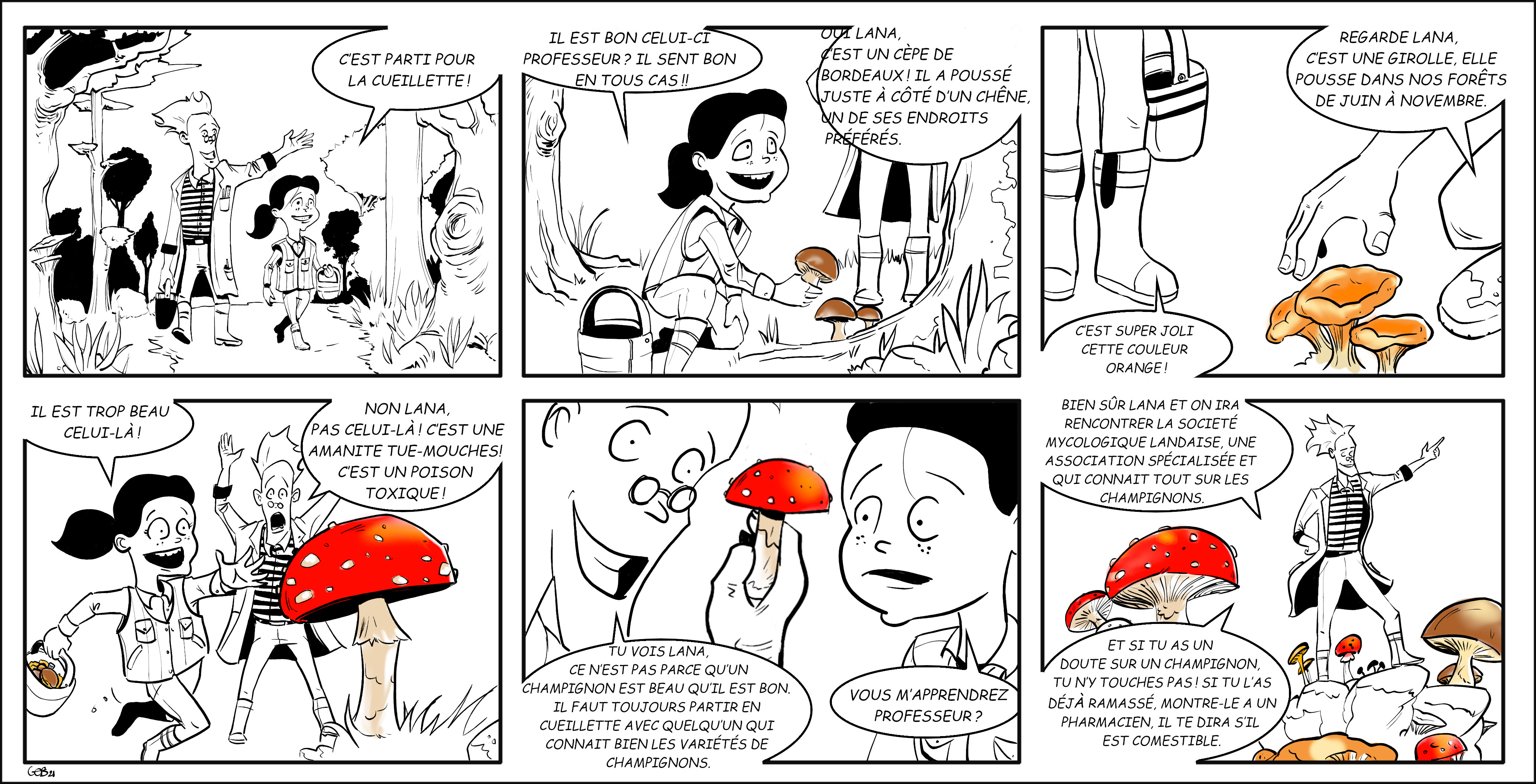 Sachatouille bd1 06-10-21-champignon