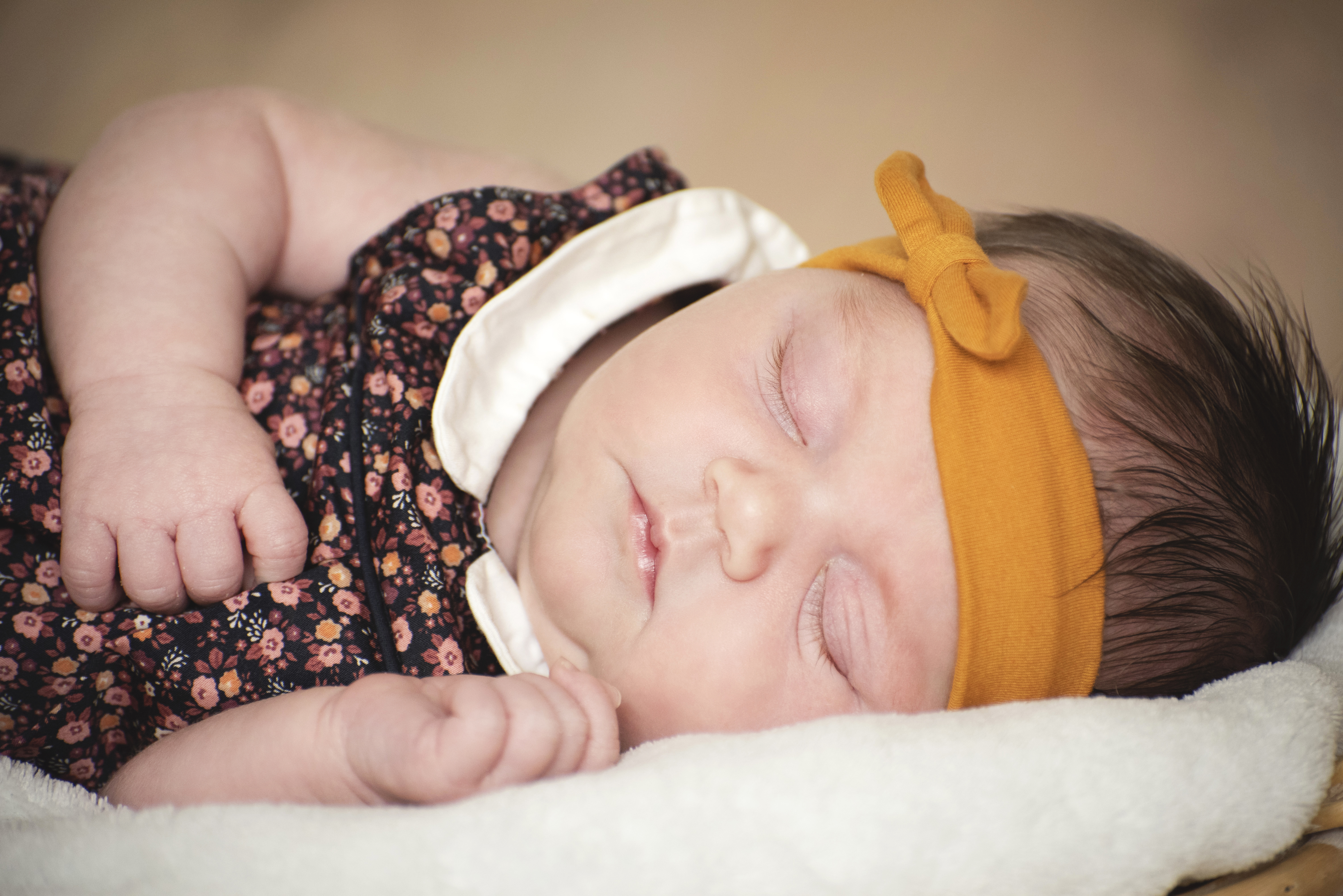 Lila rose 20214