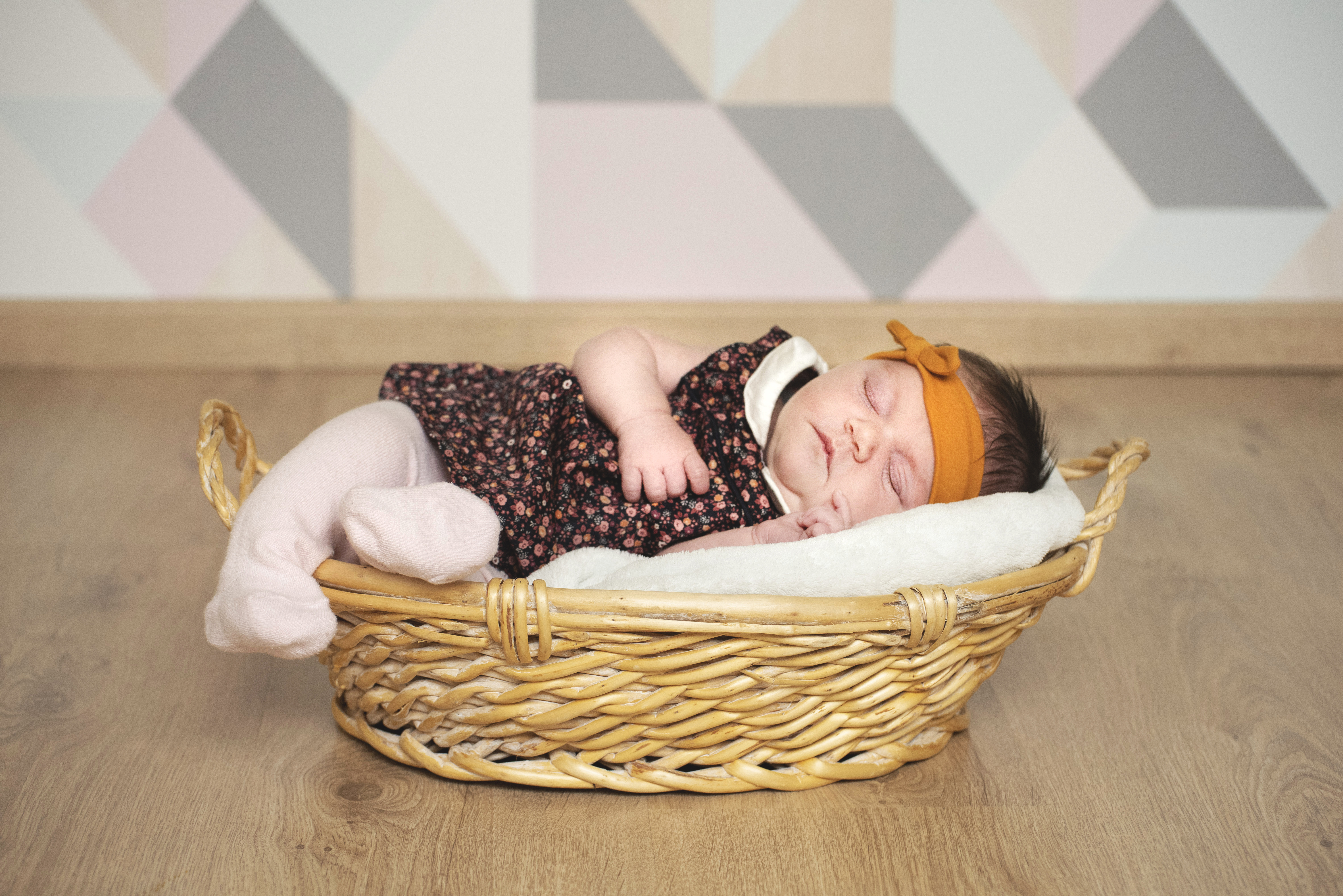 Lila rose 20215