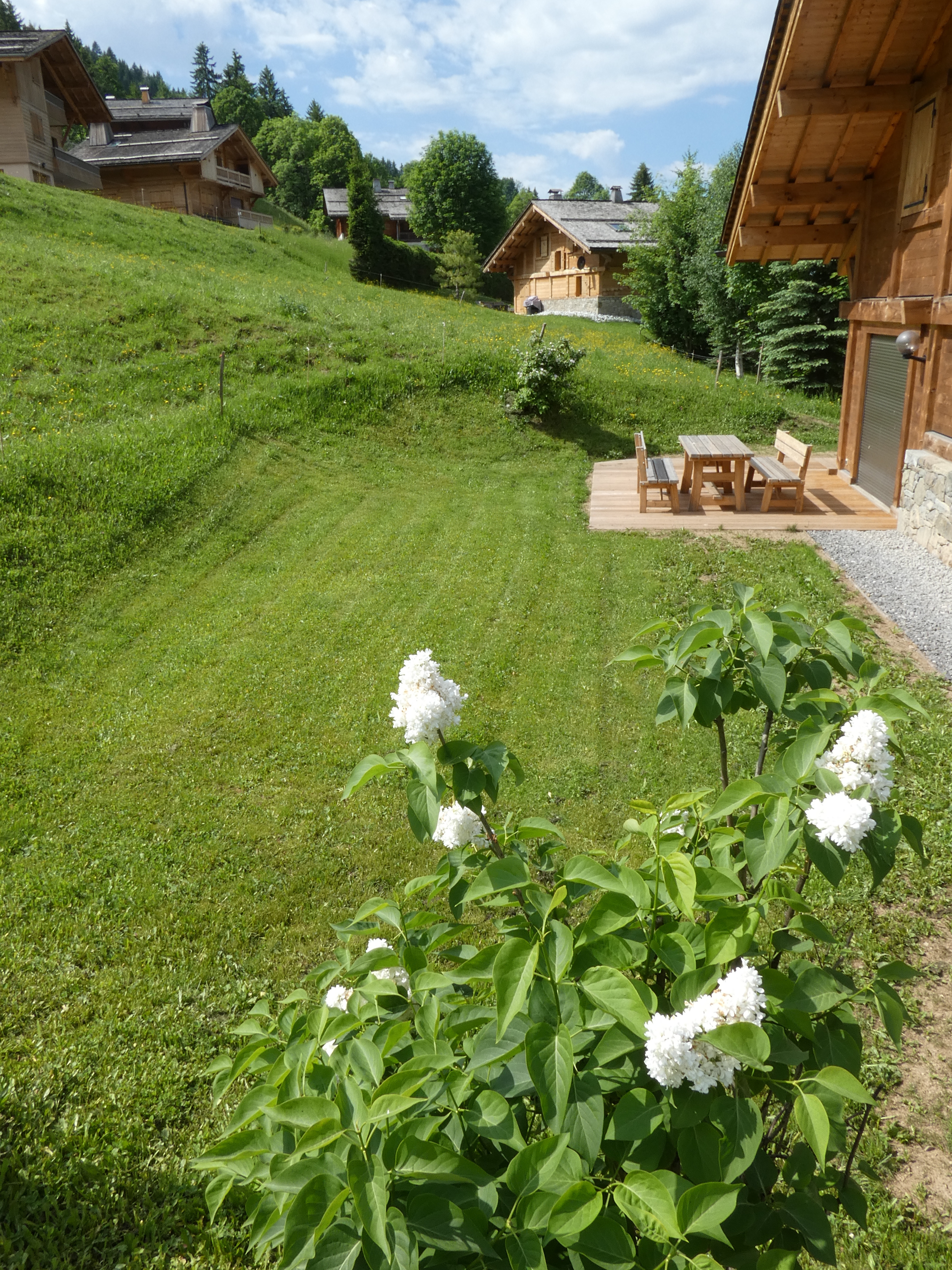 19-06-2019-2-