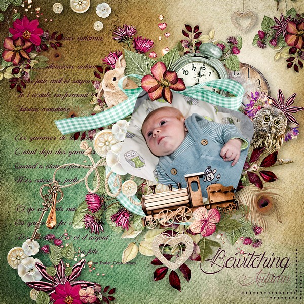 Inspiration 15 