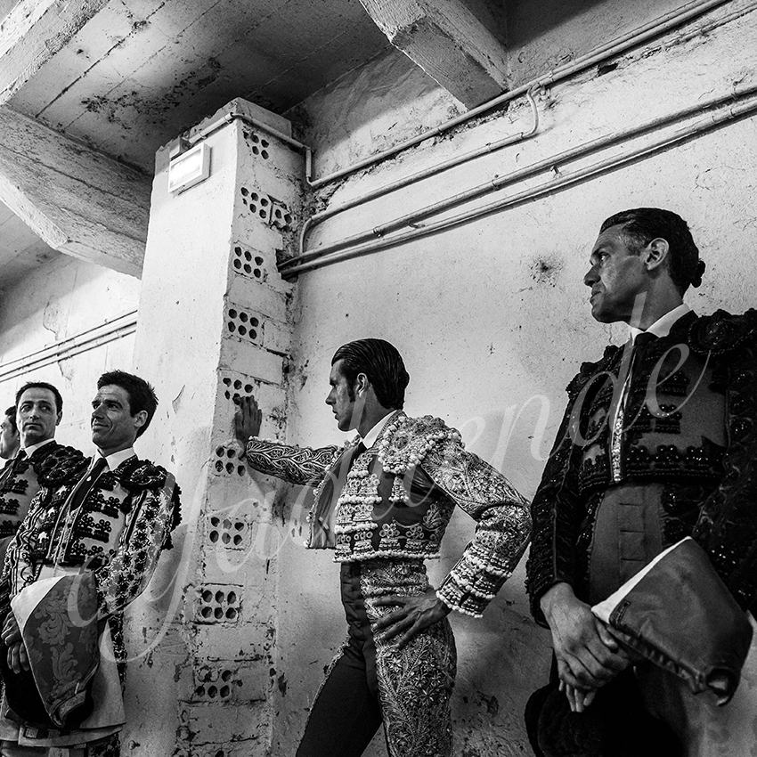 20210813 beziers alfaduende 001 fd