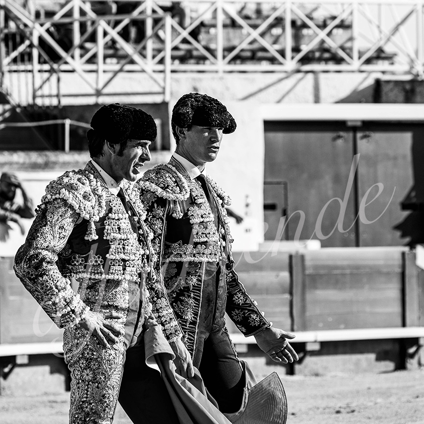 20210813 beziers alfaduende 002 fd