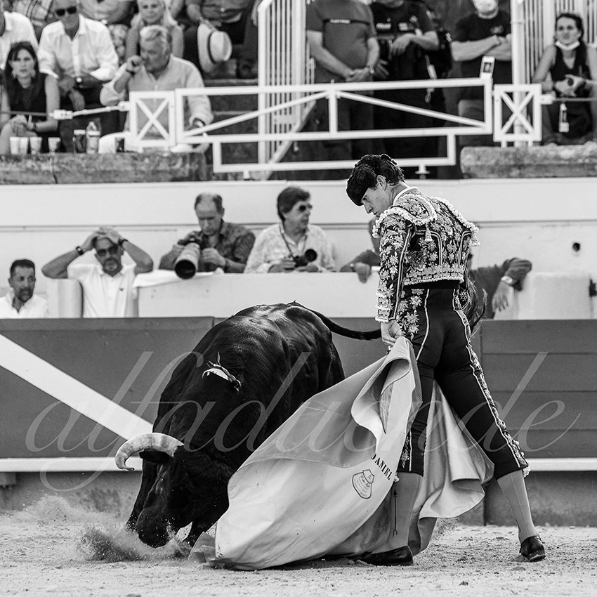 20210813 beziers alfaduende 004 fd