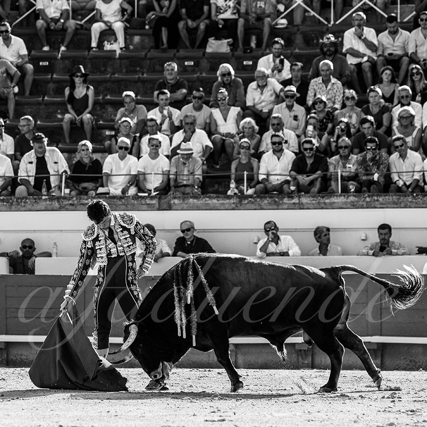 20210813 beziers alfaduende 005 fd