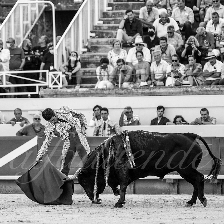 20210813 beziers alfaduende 009 fd