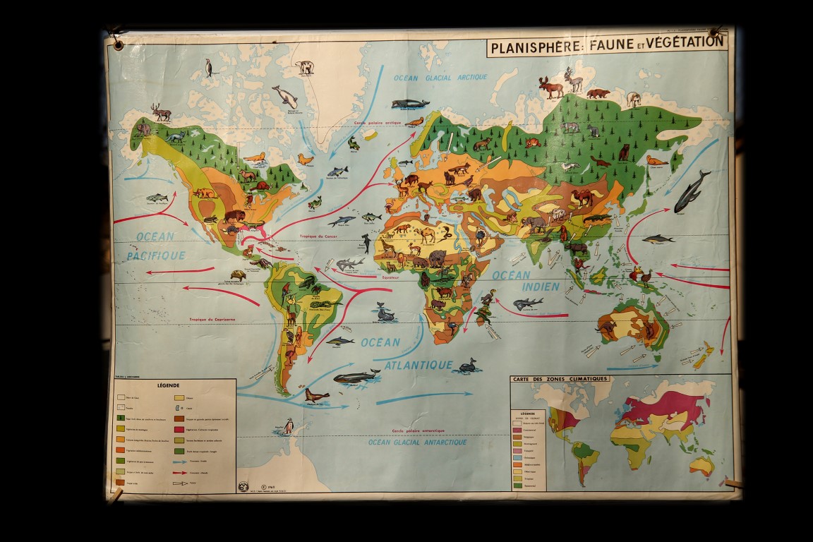 Planisfere faune et vegetation medium 