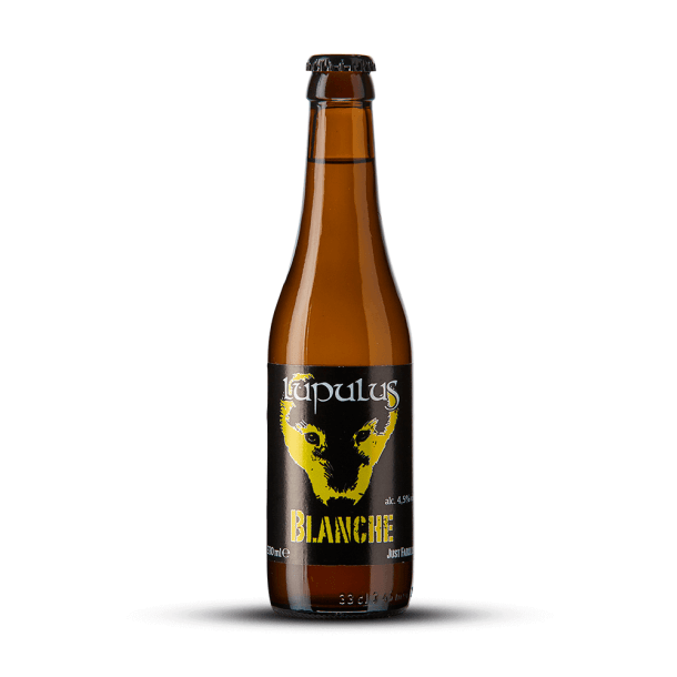 Lupulus-blanche
