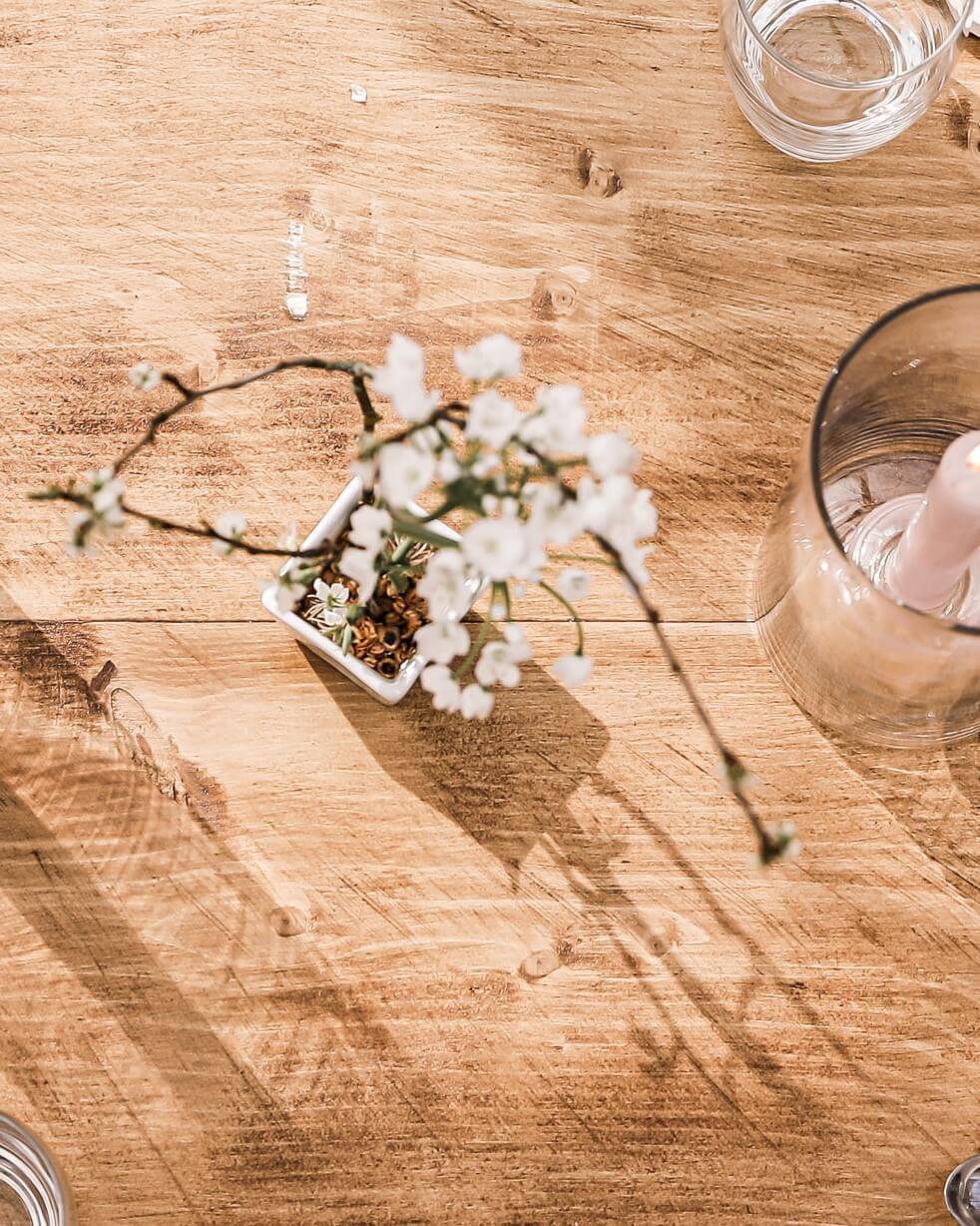 mousse ecologique laetitia clement florist designer