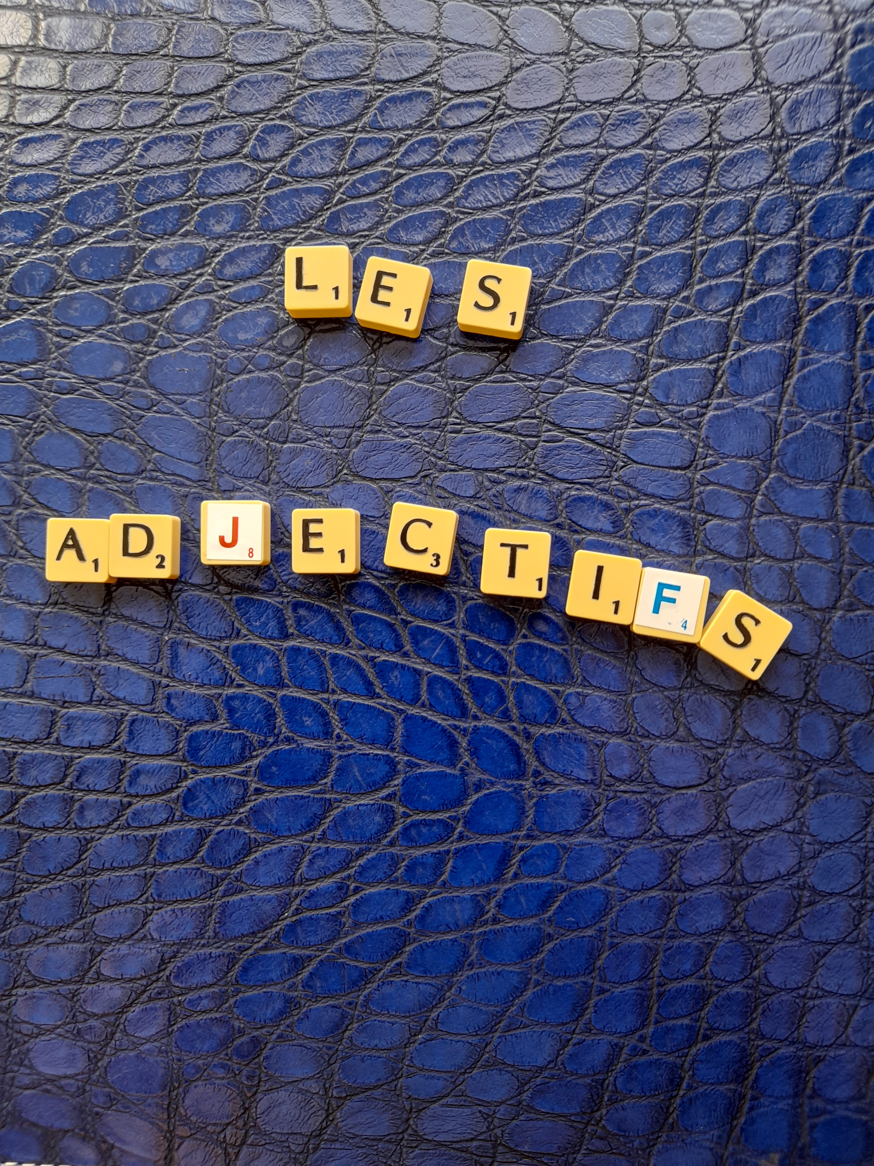 Les adjectifs qualificatifs