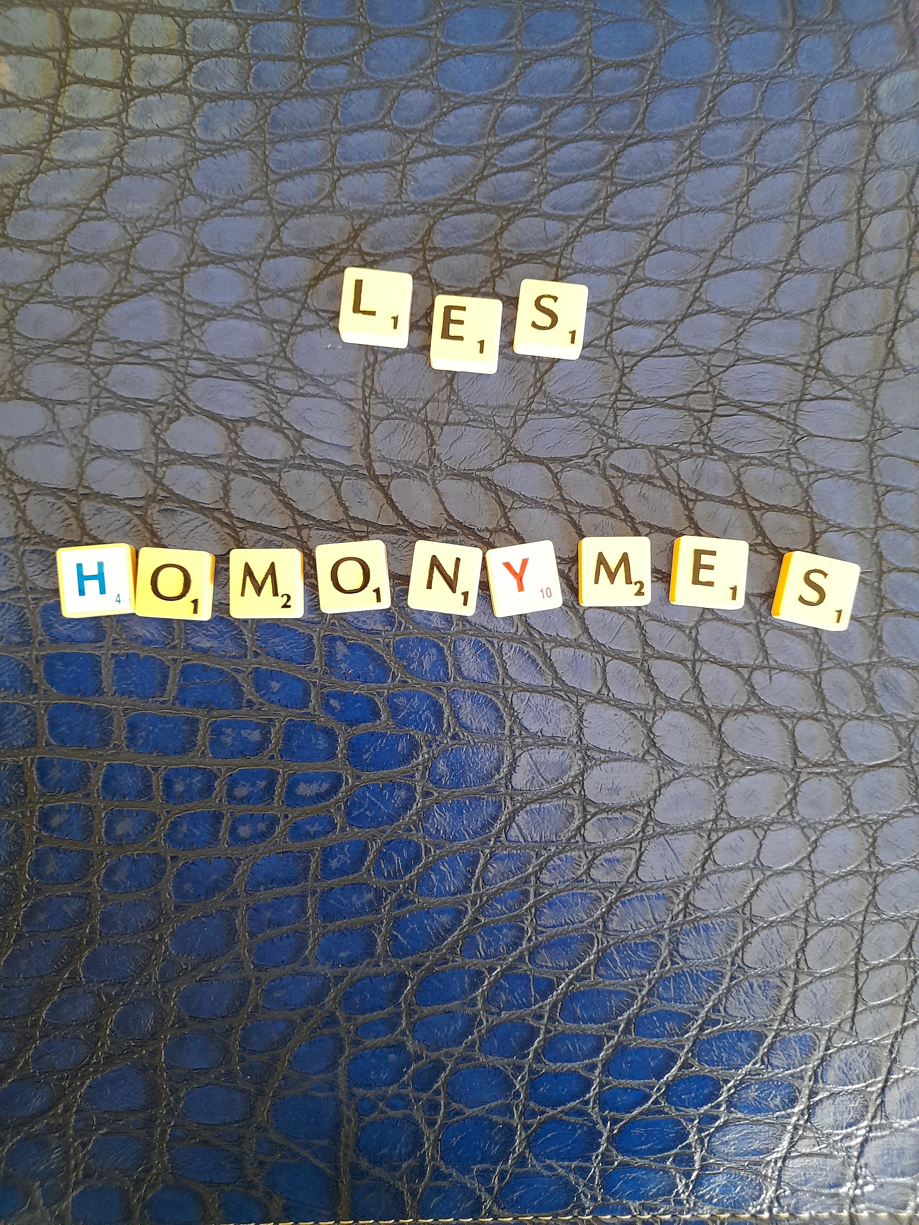 Les homonymes