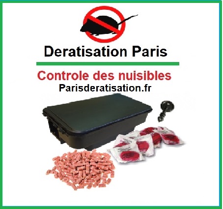 Campagne dératisation Paris Août 2021