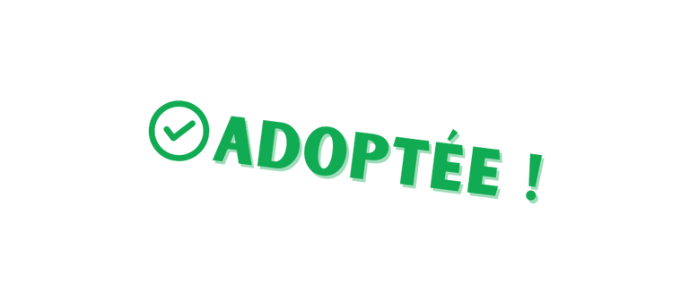 Adoptee-