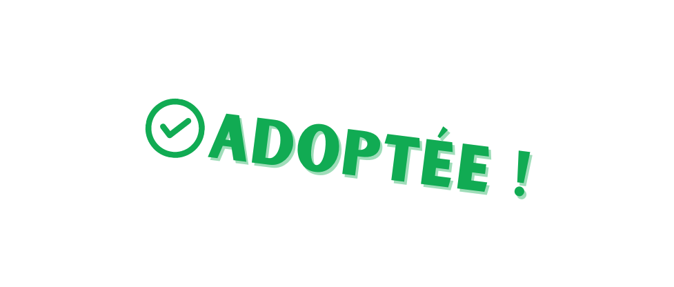 Adoptee-