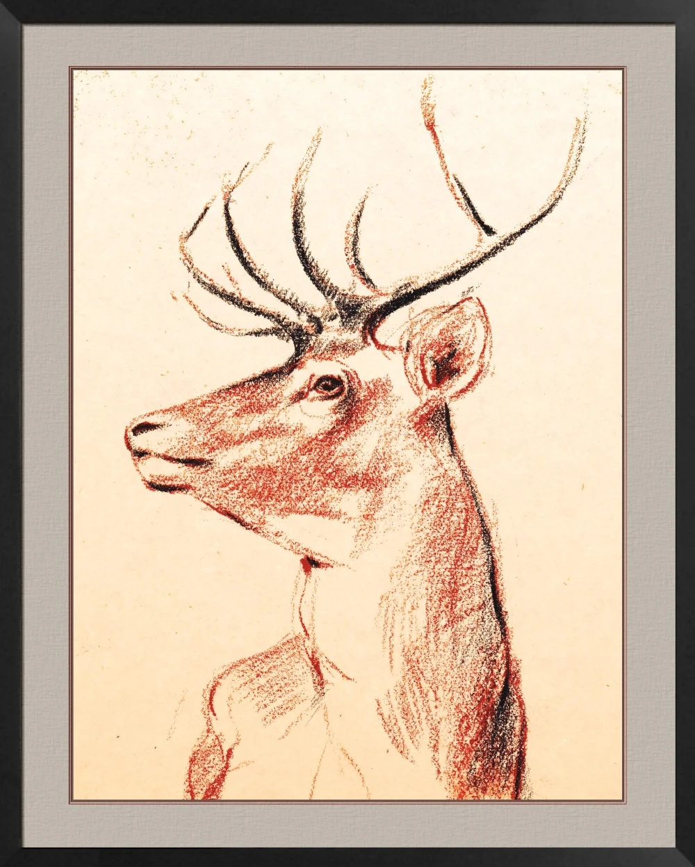 Cerf sanguine et pierre noire sur papier 110 x 150 mm